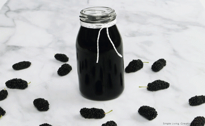 Armenian Mulberry Syrup