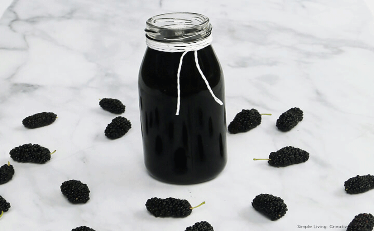 Armenian Mulberry Syrup